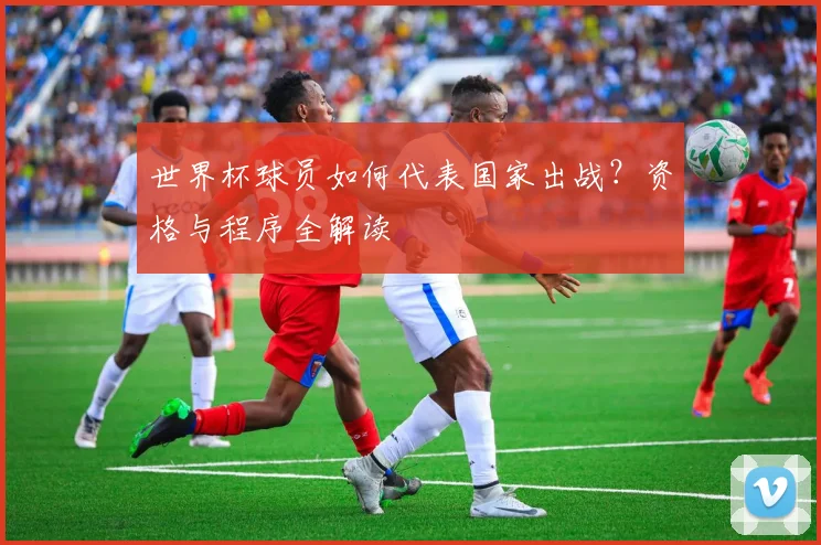 世界杯球员如何代表国家出战？资格与程序全解读